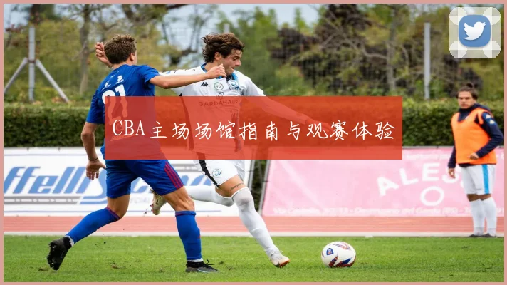 CBA主场场馆指南与观赛体验
